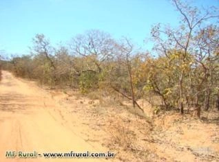 Fazenda para Compensação Ambiental no Bioma São Francisco