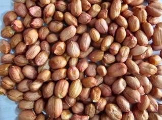 Amendoim Torrado - Sabores Variados
