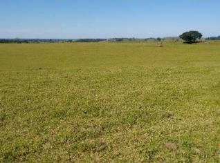Fazenda em Itapetininga - Terreno com Barracão e Água