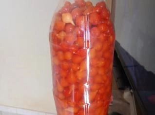 Pimenta Biquinho em Salmoura - Itamarandiba, MG