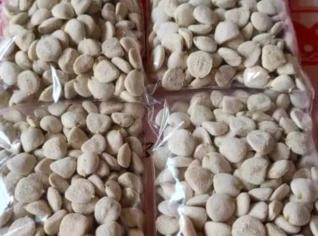 Noz da Índia - Sementes Selecionadas em Camaçari