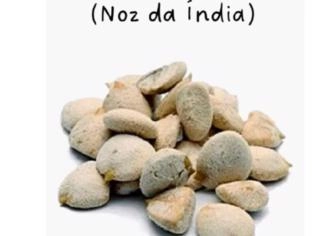 Noz da Índia - Sementes Selecionadas