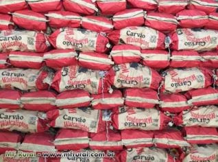 Carvão Vegetal de Eucalipto Premium