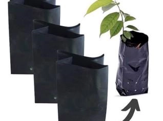 Saco para Mudas Pretos - Vários Tamanhos Disponíveis