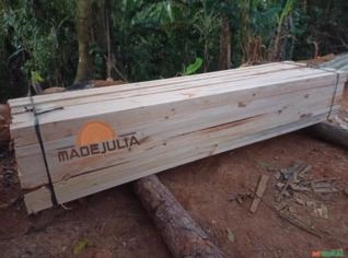 Compra de Toras de Pinus - Diversas Bitolas e Comprimentos