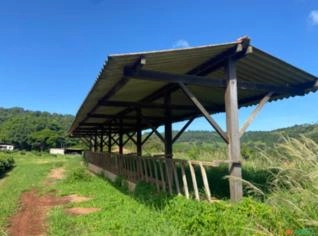 Tratador para bovinos 60m - Estrutura Completa