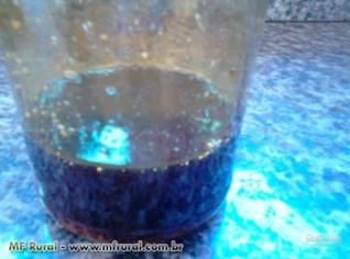 Óleo Ecológico para Queima com Baixo Enxofre