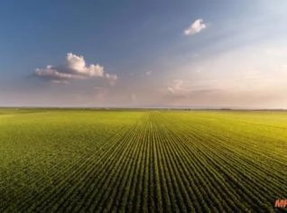 Fazenda a venda em MS
