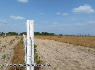 Fazenda 826HA em Bonfim RR - Próxima à BR 401