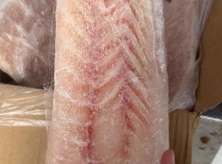 Filé de Peixe Fresco - Pescada Amarela e Dourada