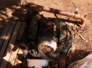 Bomba de Irrigação Thebe 12cv com Motor WEG