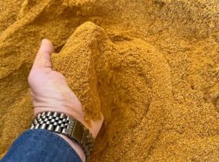 DDG 30% e 40% - Energia e Proteína Animal de Qualidade
