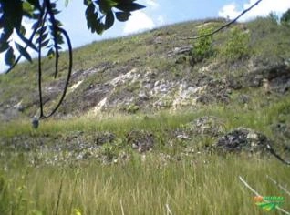 Pedreira de Dolomita Branca Próxima ao Rio de Janeiro