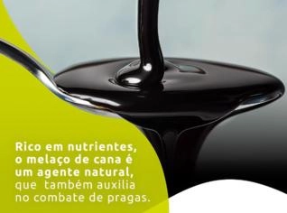 Melaço de Cana Líquido 1kg