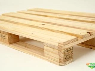 Pallets de Pinus para Mercado Interno e Exportação