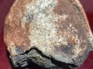 Meteorito Raro - Oportunidade Única