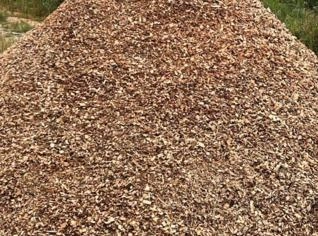 Cavaco de Pinus - Ideal para Energia