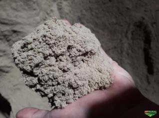 Farelo de Arroz Grosso para Venda por Tonelada