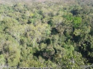 Compensação Ambiental em Mata Virgem para Reserva