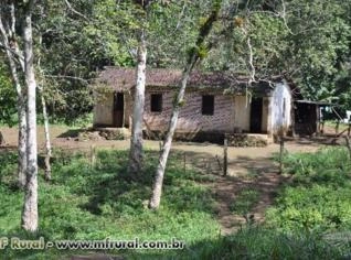 Fazenda à Venda em Camacan, Bahia - 130 Hectares