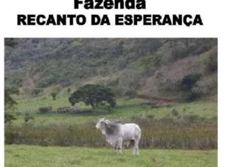 Fazenda 92 alqueires em Frei Gaspar - MG