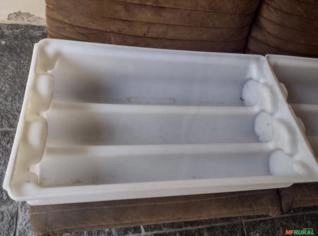 Caixa Forma para Queijo Minas - Unidade