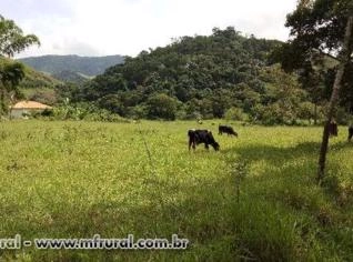 Sítio plano em Conservatória, RJ - 2,5 km do centro