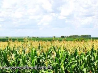 Uréia Líquida Nanoparticulada com NPK e Aminoácidos