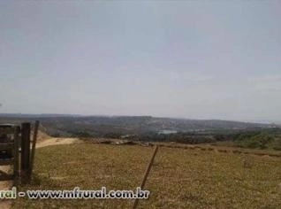 Fazenda Boa Vista em Abadiânia - 60 Hectares