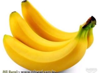 Banana Nanica - Fornecedor Direto em Jundiaí-SP