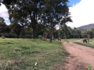 Fazenda 635 Hectares com Águas e Energia em MG