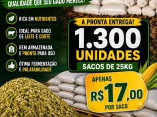 Silagem de Milho Verde Premium - Alta Qualidade