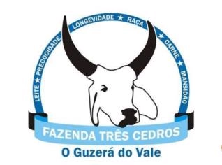 Tourinhos Guzerá Top para Corte e Leite