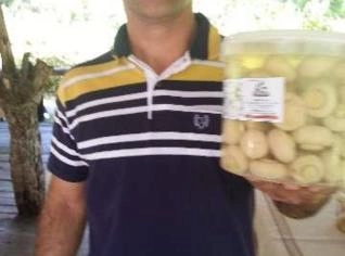 Parceria para Cultivo de Cogumelos