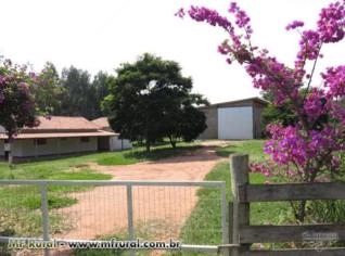 Sítio em Ubirajara/SP com 38 hectares e casa completa