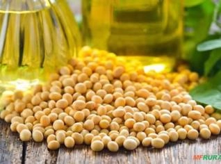 Óleo de Soja Refinado - Alta Qualidade