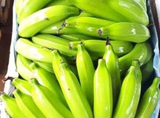 Compra e Venda de Banana Prata Anã em Delfinópolis