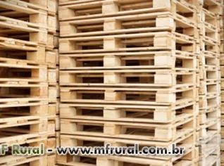 Pallets de Madeira Sob Medida - Direto da Fábrica