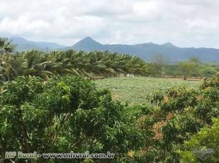 Fazenda 550ha em Maranguape, CE - Produção Alta