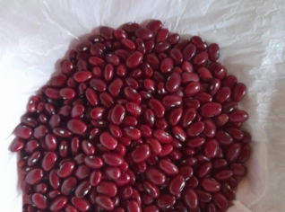 Feijão Vermelho Premium 1 Kg - Ótima Qualidade