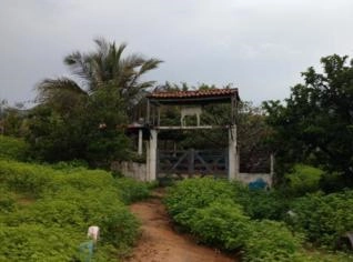 Fazenda Oiticica Itapajé - 180ha com barragem e casa