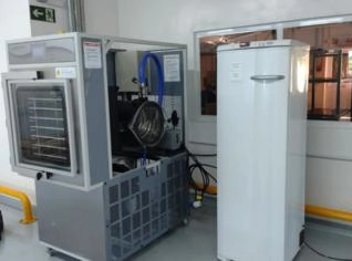 LIOFILIZADOR INDUSTRIAL DE 600 A 1 TONELADA