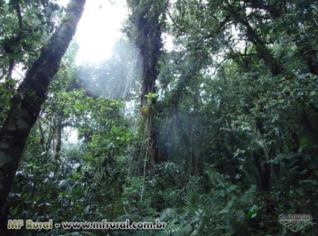 Compensação de Reserva Legal em Área de Conservação