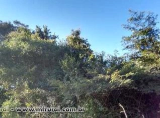 5 ha de Mata Atlântica para Reserva Legal em MG