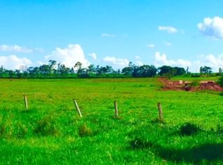 Sítio de 18 alqueires em Nova Aliança do Ivaí - PR