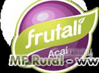 Polpa de Açaí e Froozen - Qualidade para Exportação
