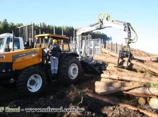Toras de Pinus de Jaquirana - Madeira de Qualidade para Projetos Profissionais