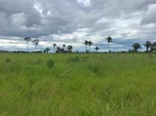 Fazenda São Pedro - 1107 ha às margens da BR-153