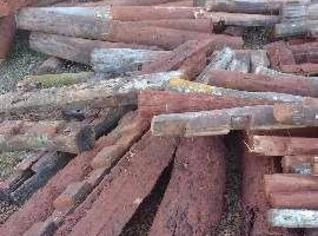 Palanque de Aroeira Usado - 3,20m e 17cm Diâmetro