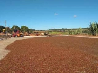 Café Especial Sul de Minas - Direto da Fazenda